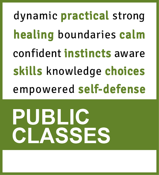 public self-defense classes